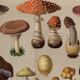 Image for article titled Man Rips Off Own Penis After Eating Evil Mushrooms